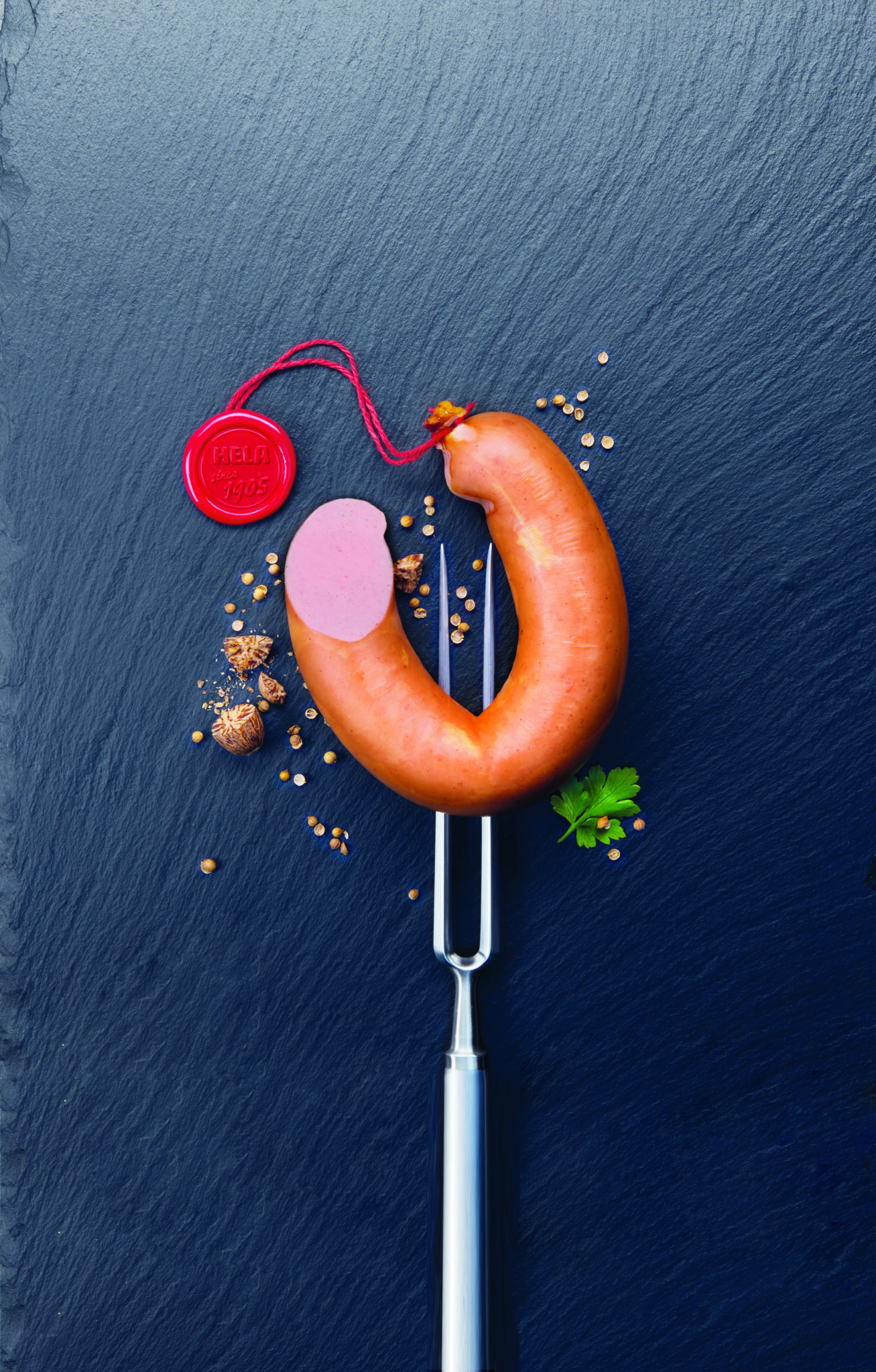 05 2022 Rueckseite Katalog Fleischwurst